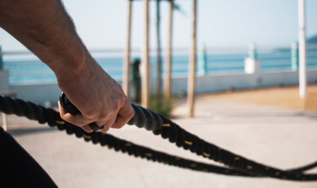 Oura vs. Circular Which Is the Best Overall Health and Wellness Smart