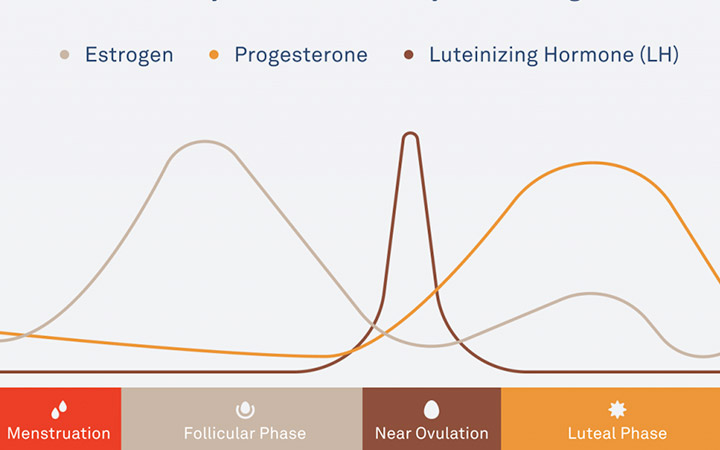 Oura Ring Review 2021: Is It Worth the Hype?